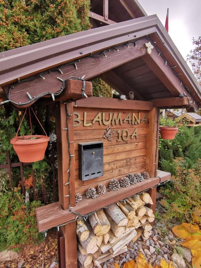 Garden Chalet Νταουγκαβπίλς Εξωτερικό φωτογραφία